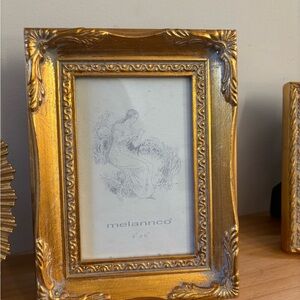 Gold Ornate Picture Frame